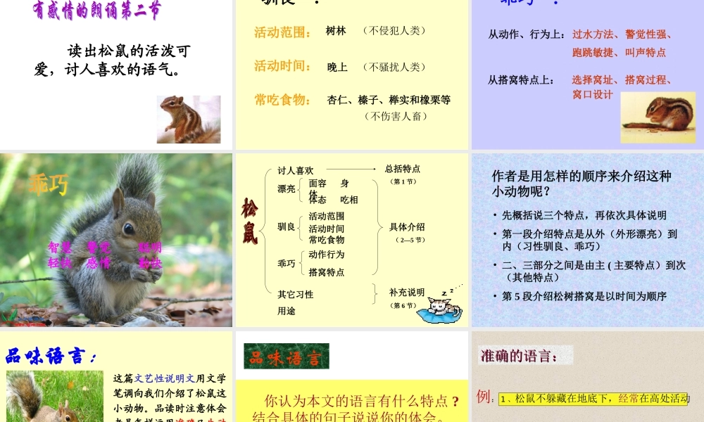 松鼠课件 (2)