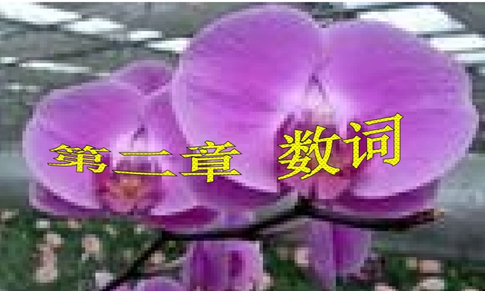 初中英语语法-数词PPT课件 (2)