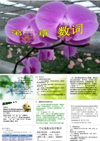 初中英语语法-数词PPT课件 (2)