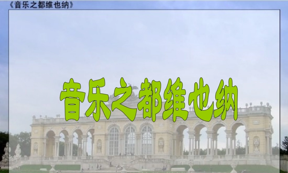 音乐之都维也纳 (2)
