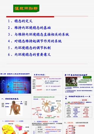 必修3_通过神经系统的调节_