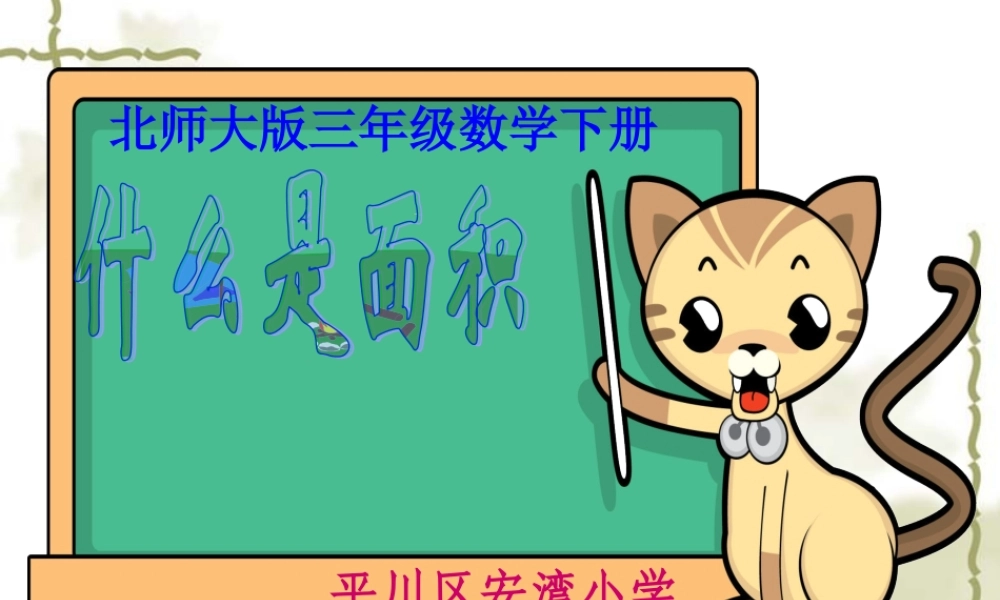 《什么是面积》课件