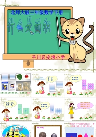 《什么是面积》课件
