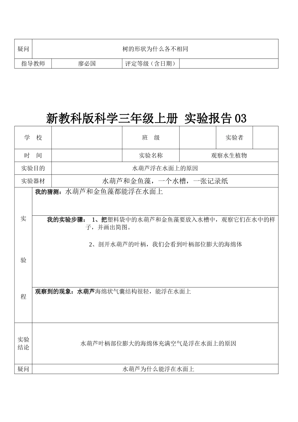 教科版三年级上册科学实验报告单_第3页