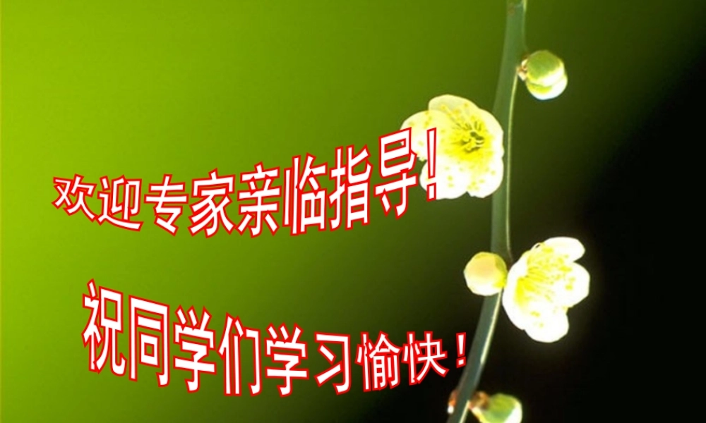 文化创新-宁乡县实验中学陈希玉
