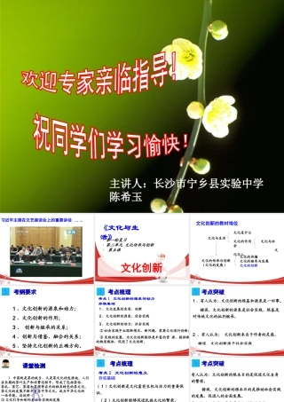 文化创新-宁乡县实验中学陈希玉