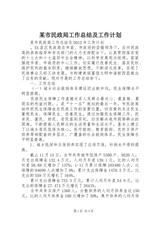 某市民政局工作总结及工作计划