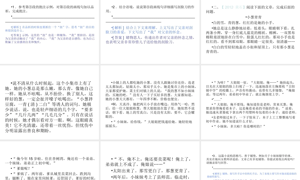 专题19-品味小说语言，体会表达技巧（22页）