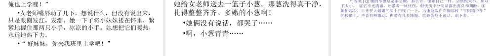 专题19-品味小说语言，体会表达技巧（22页）