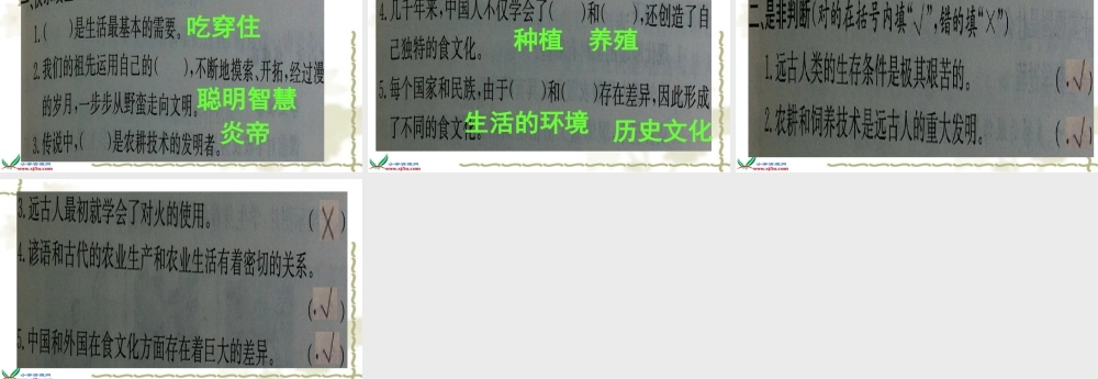习题5年下2单元吃穿住话古今1