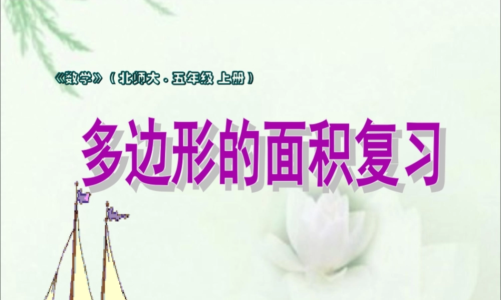 多边形的面积复习