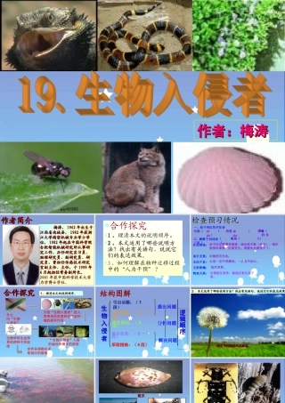 生物入侵者 (4)