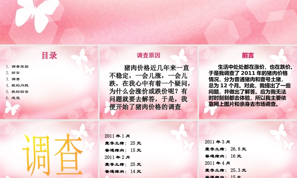 肉价的调查（林毓琇）