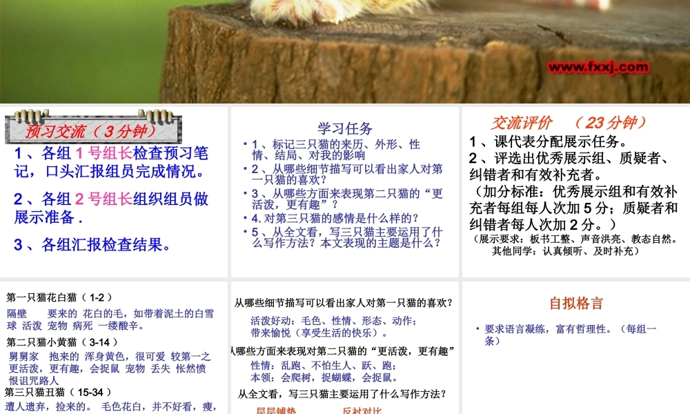 [中学联盟]辽宁省彰武县第三初级中学人教版语文七年级下册：第六单元26猫+课件（共15张PPT）