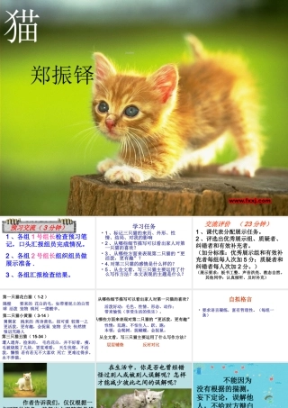 [中学联盟]辽宁省彰武县第三初级中学人教版语文七年级下册：第六单元26猫+课件（共15张PPT）