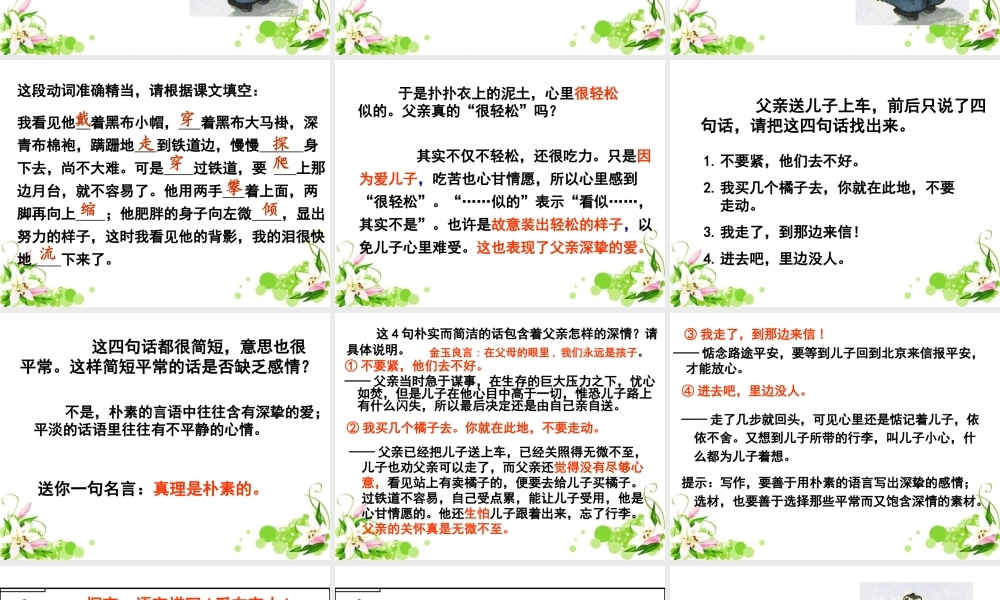 《第7课背影》课件