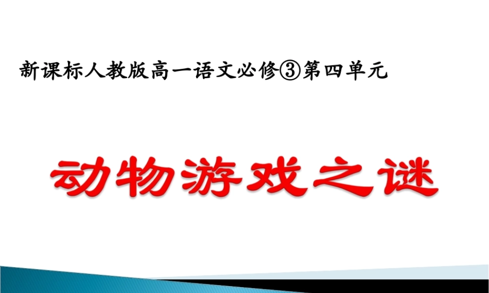 动物游戏之谜 (3)