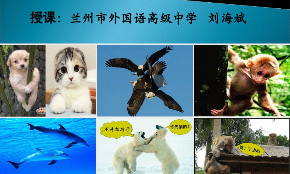 动物游戏之谜 (3)