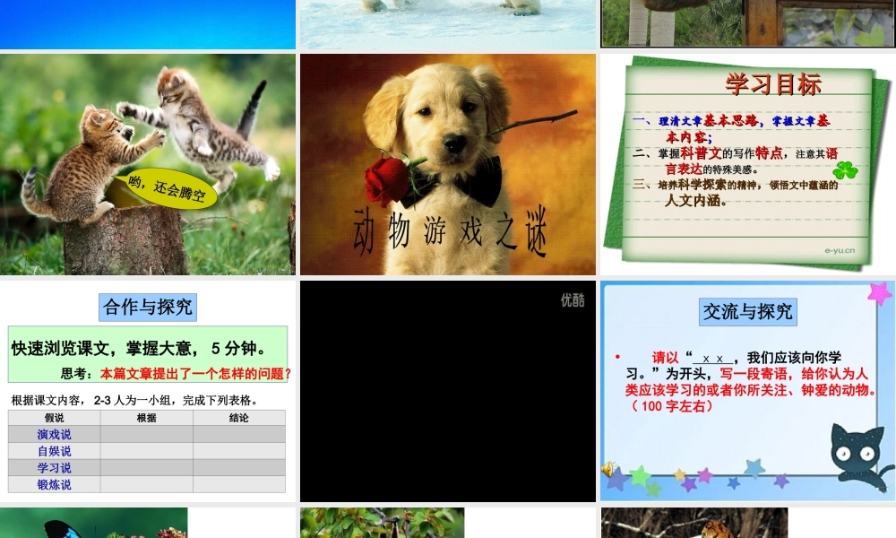 动物游戏之谜 (3)