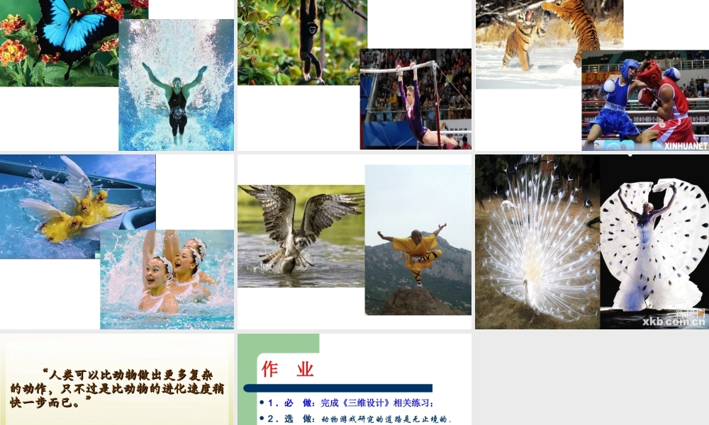 动物游戏之谜 (3)