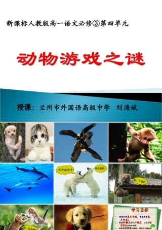 动物游戏之谜 (3)