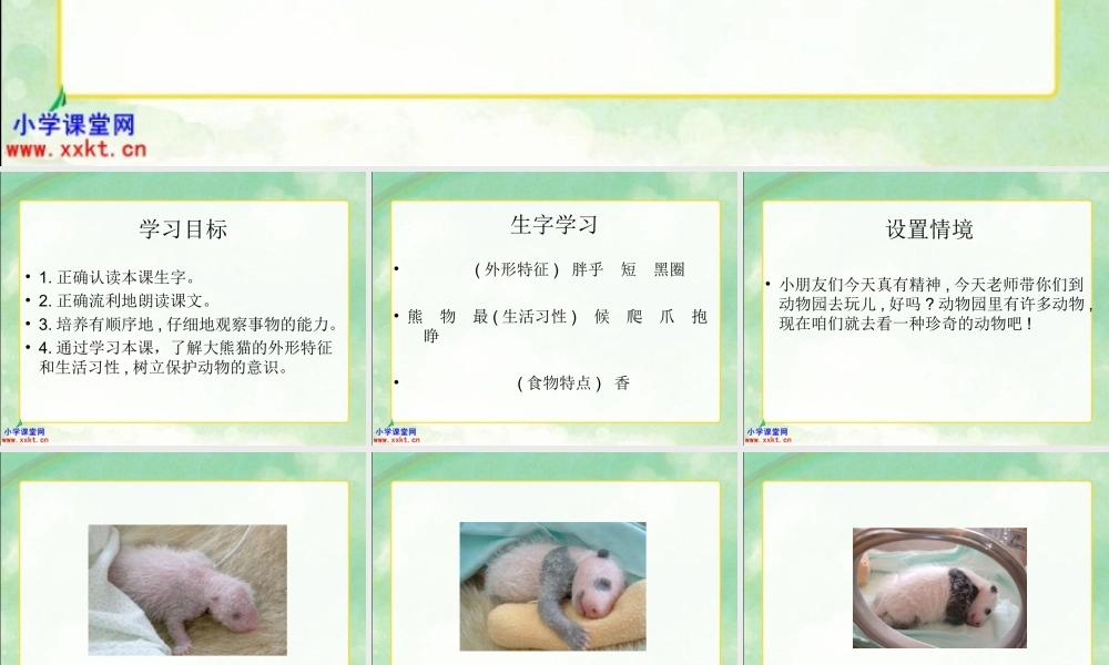 一年级语文下册《大熊猫》PPT课件之三（教科版）