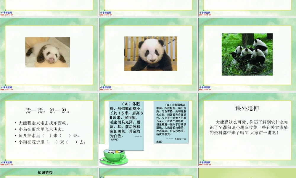 一年级语文下册《大熊猫》PPT课件之三（教科版）