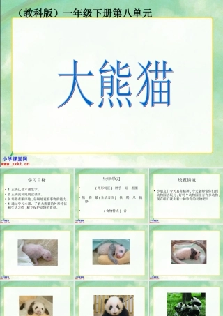 一年级语文下册《大熊猫》PPT课件之三（教科版）