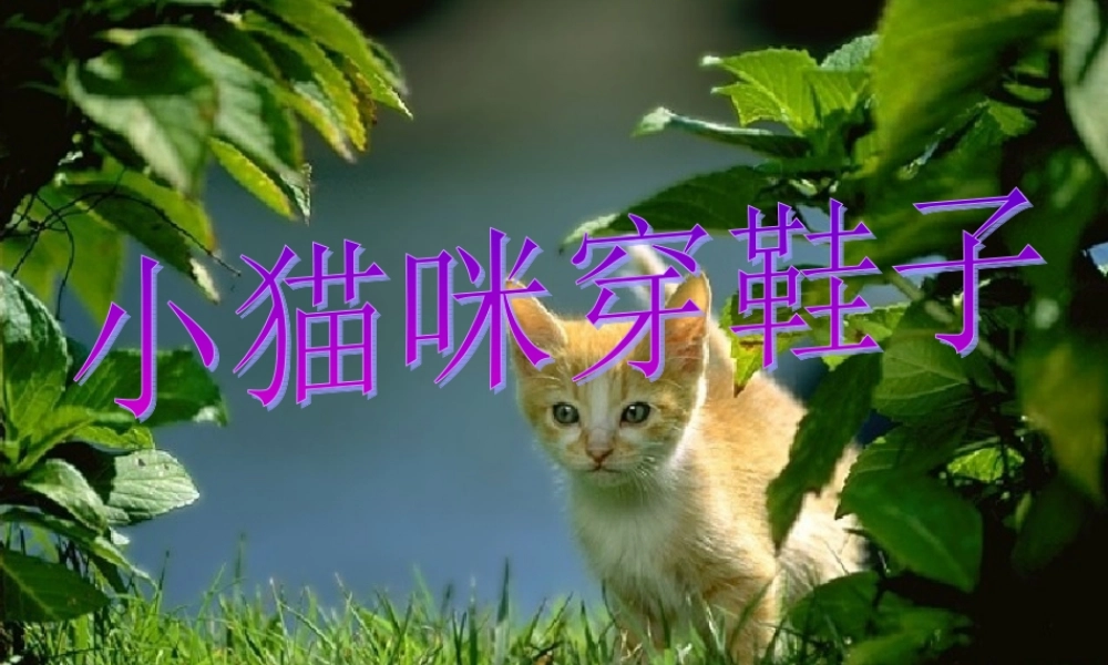 《小猫咪穿鞋子》教学课件（课文讲解）