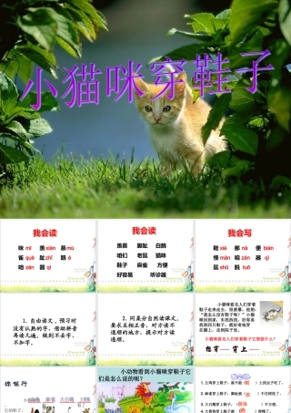 《小猫咪穿鞋子》教学课件（课文讲解）