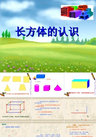 长方体的认识 (4)