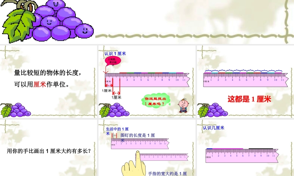 厘米的认识课件