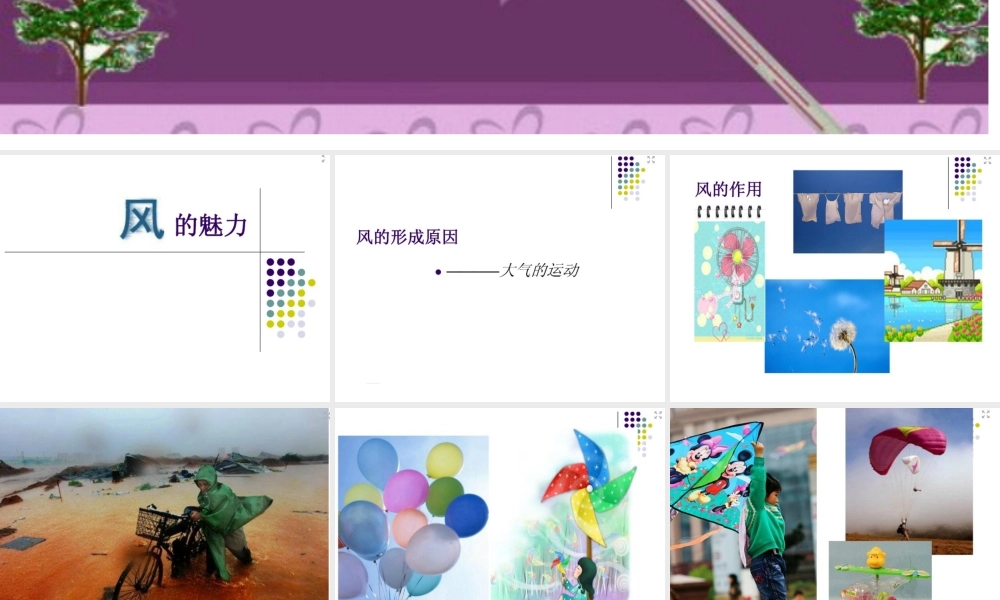 风的魅力课件
