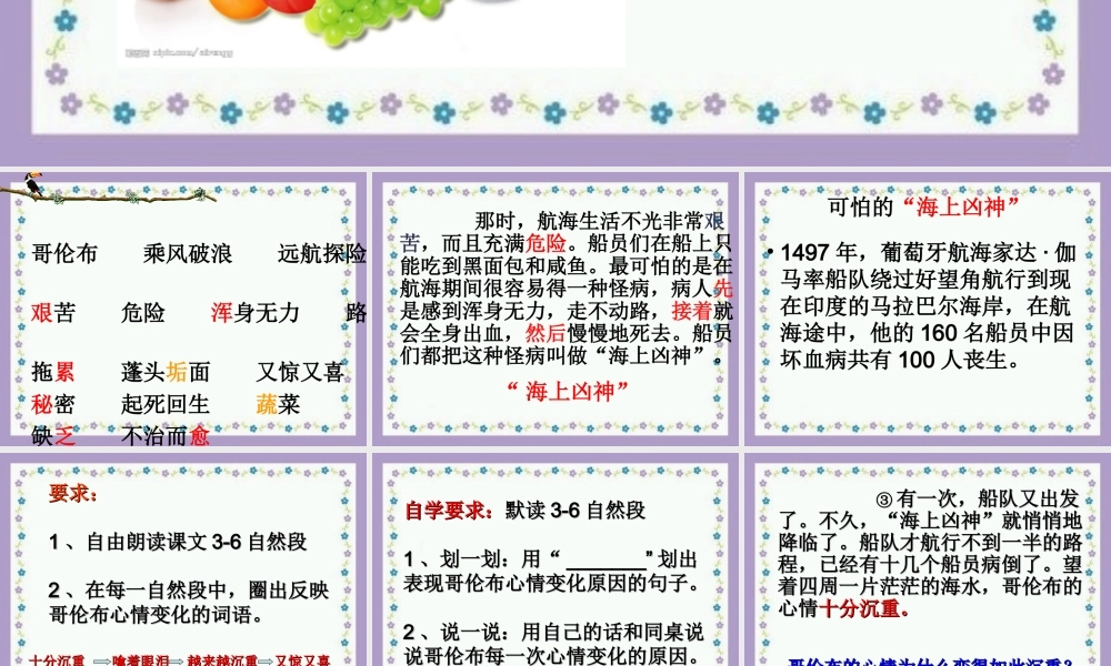 新维生素c的故事