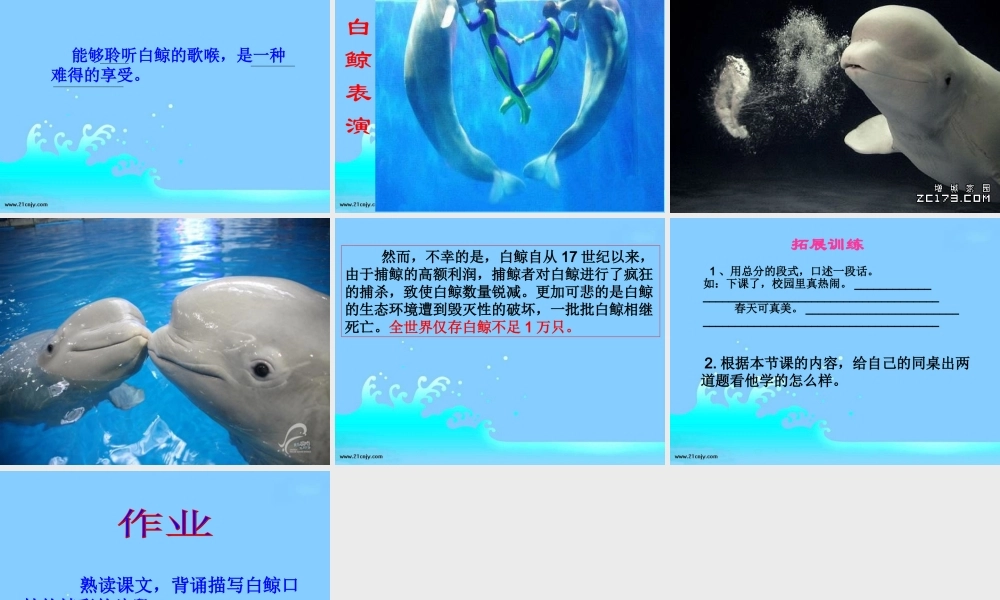 （西师大版）四年级语文下册课件白鲸1