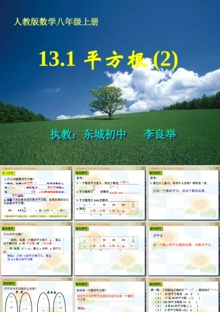 人教版八年级上册1312平方根比赛课