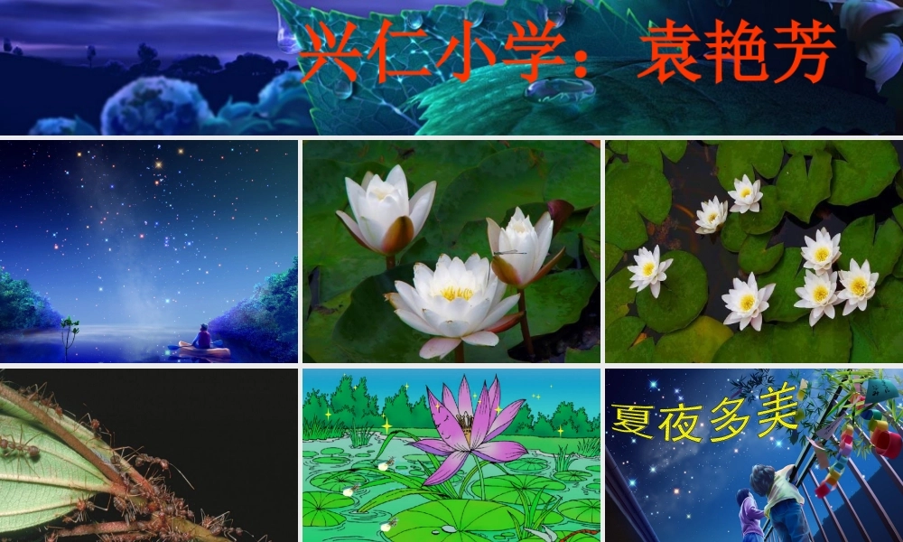 袁艳芳《夏夜多美》课件