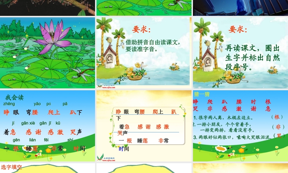 袁艳芳《夏夜多美》课件