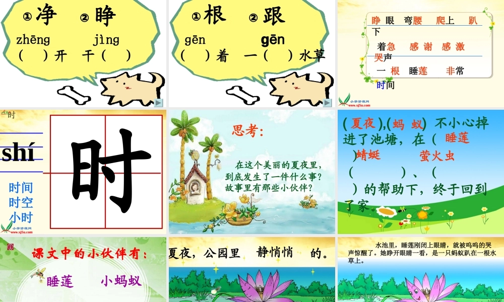 袁艳芳《夏夜多美》课件