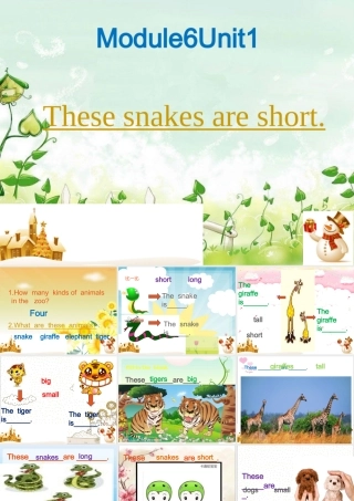 外研版一起英语一年级下册M6U1Thesesnakesareshort课件