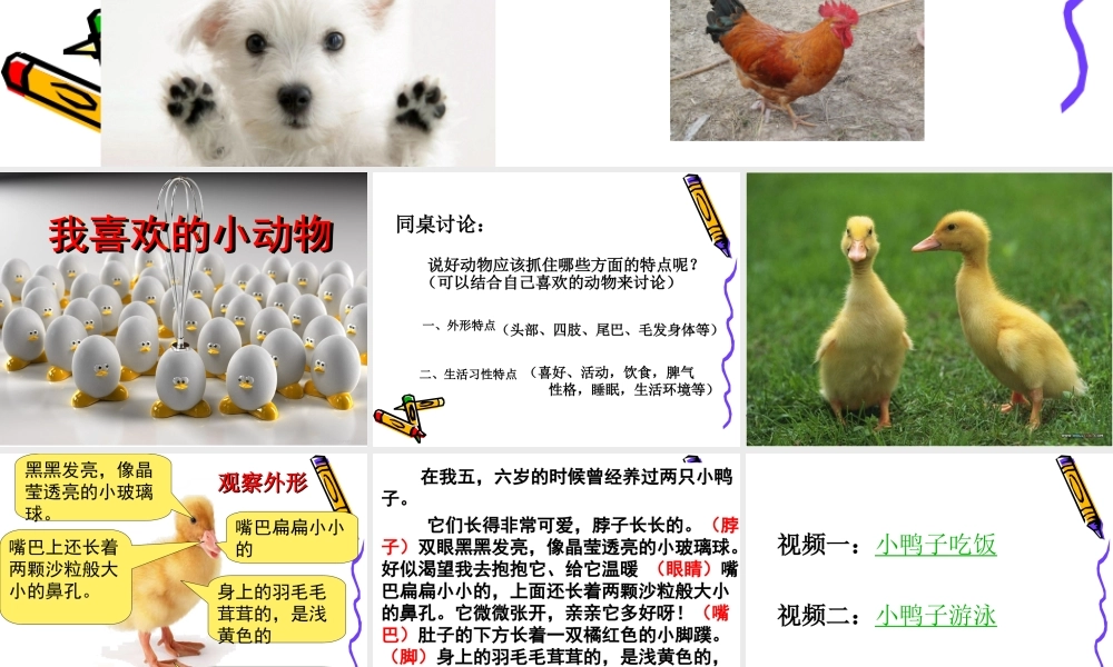 人教版四年级上册语文第四单元习作