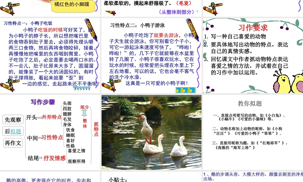 人教版四年级上册语文第四单元习作