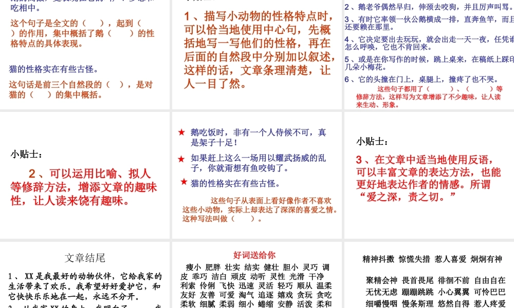 人教版四年级上册语文第四单元习作