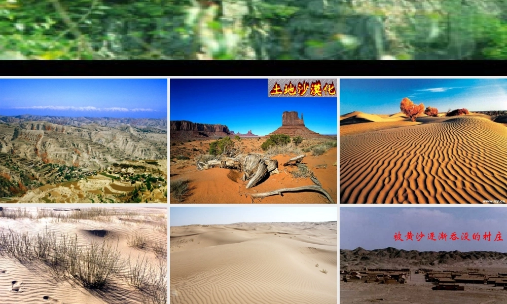 青山不老课件 (2)