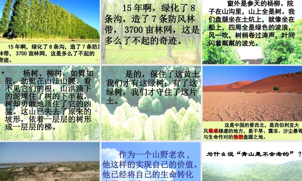 青山不老课件 (2)