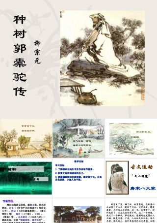 《种树郭橐驼传》上课用