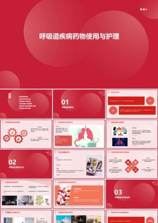 呼吸道疾病药物使用与护理