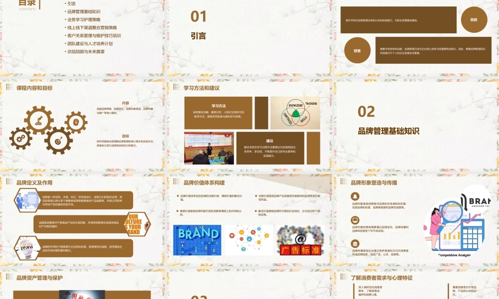 品牌管理业务学习护理课件