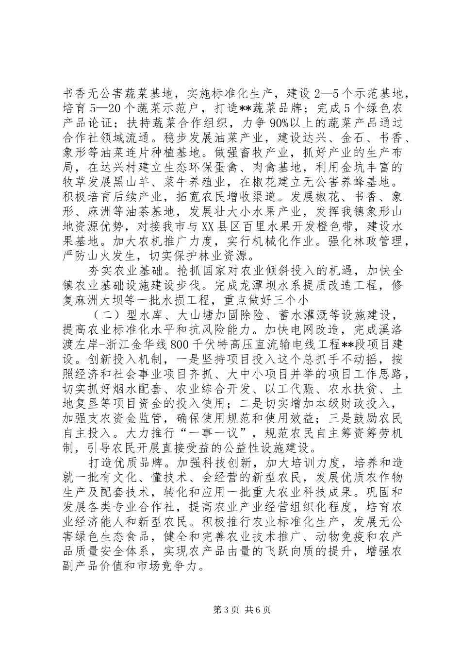 镇五年工作规划_第3页