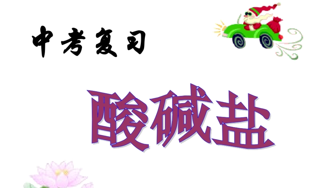 酸碱盐复习20141204